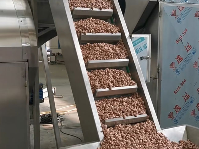 Conception optimale de la ligne de Production de beurre de noix
