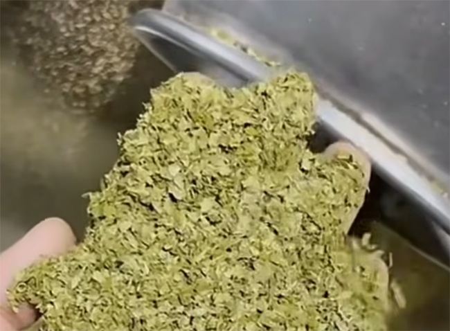Test de broyage grossier de feuilles d’herbes pour sachets de thé