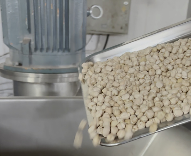 Test de broyage de pois chiches - SLA-30 Air Classifier Mill atteint 100-200 Mesh farine